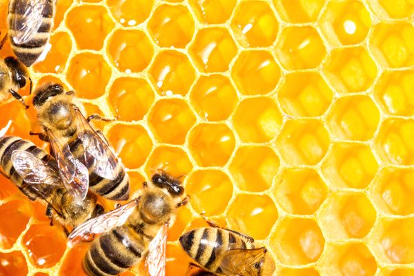 sueños con miel y abejas