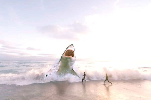 soñar que te atacan tiburones